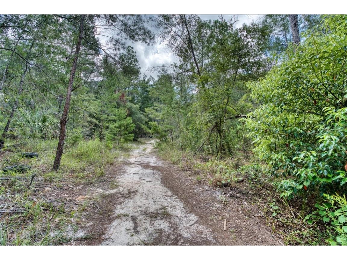 229 Arkansas Street Satsuma FL 32189 O6346267 image22