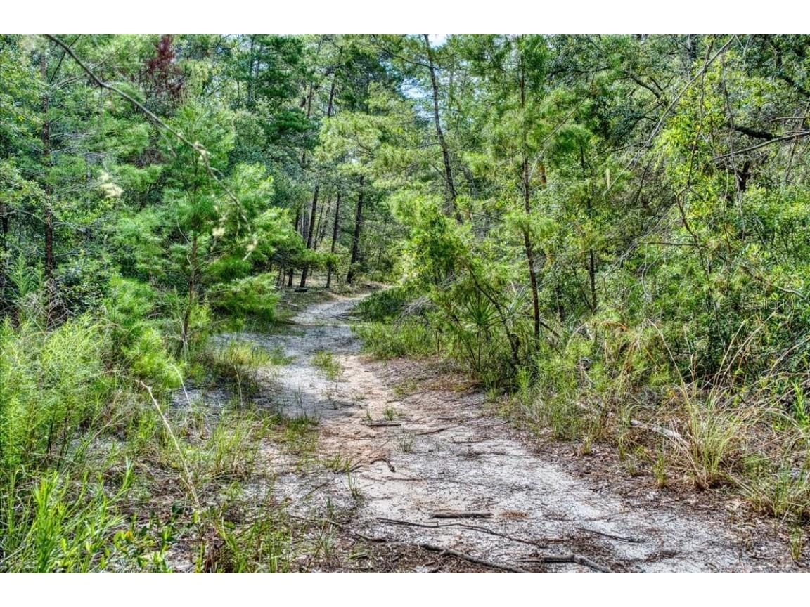 229 Arkansas Street Satsuma FL 32189 O6346267 image8