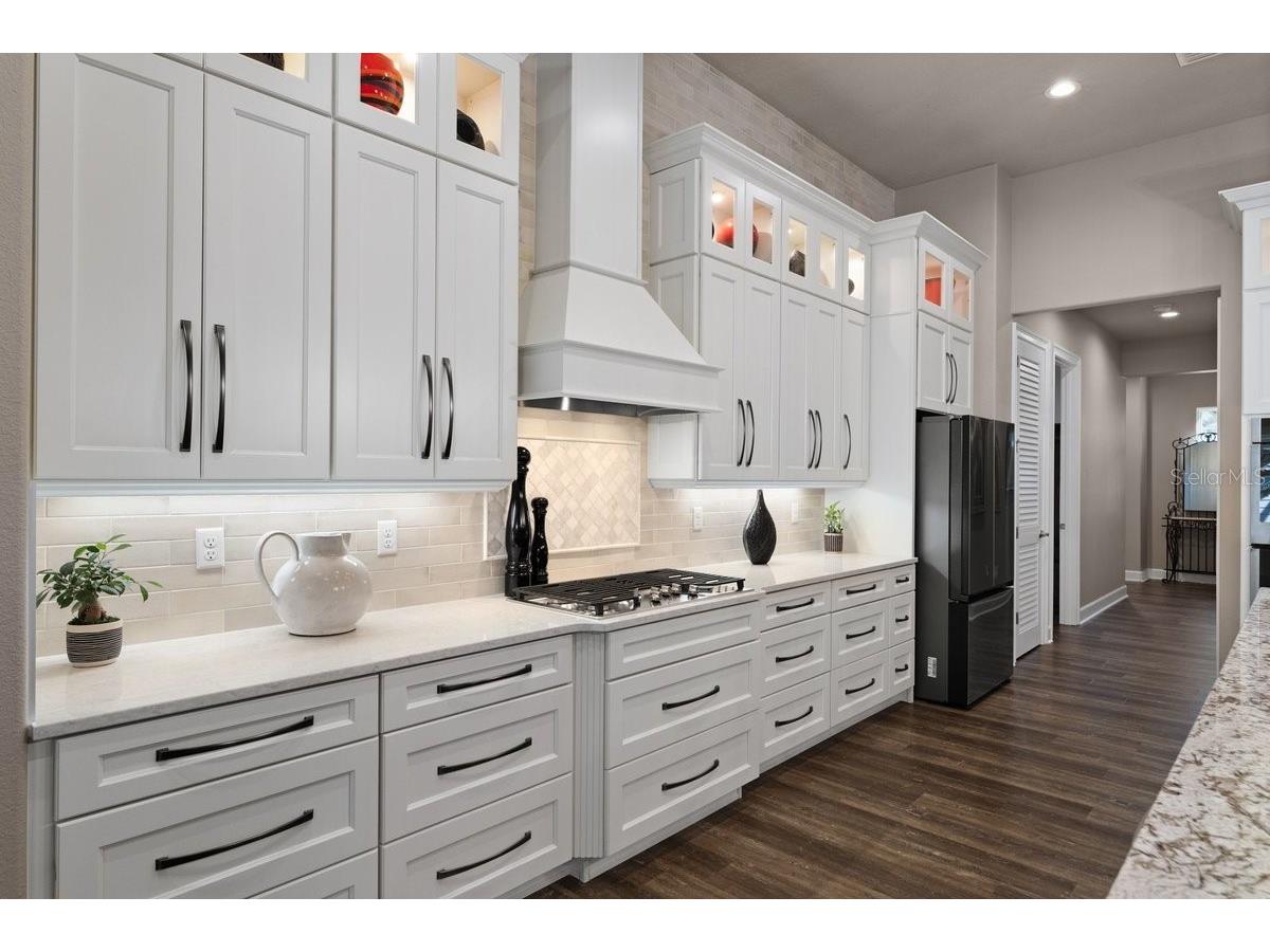 229 Conservatory Drive Palm Coast FL 32137 V4949533 image22