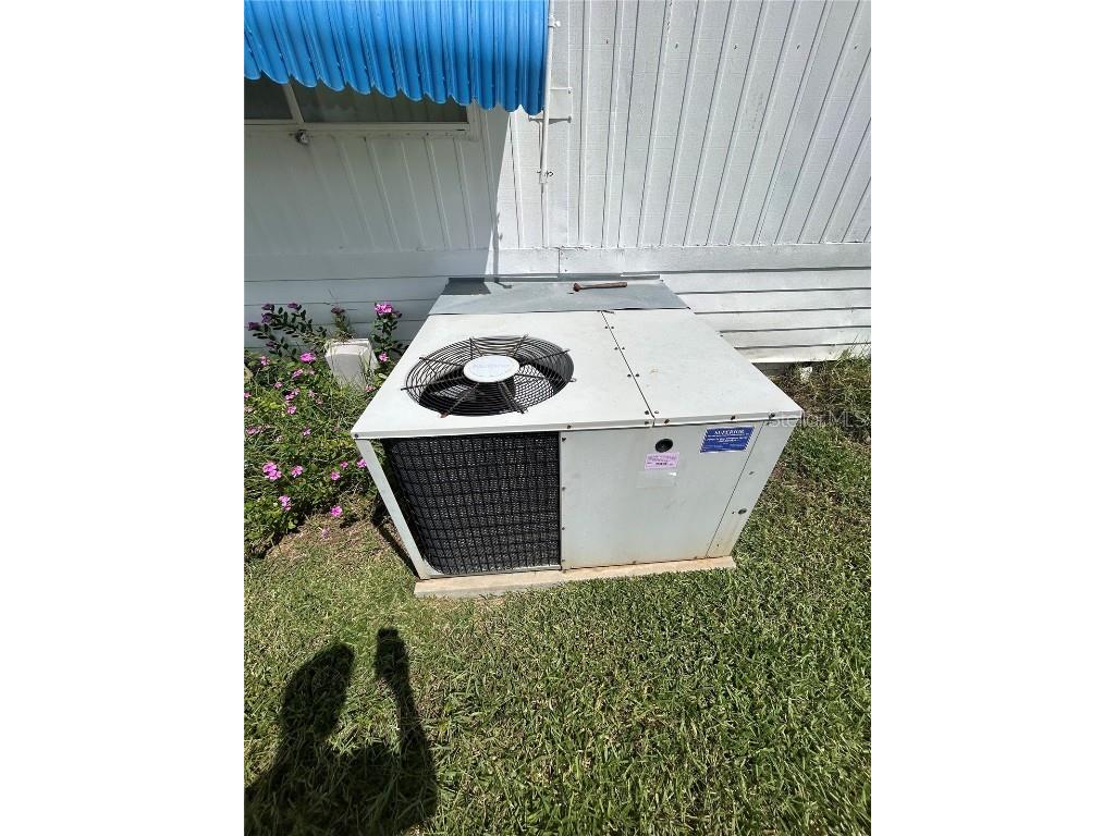 229 Dixie Lane Tarpon Springs FL 34689 TB8425388 image10