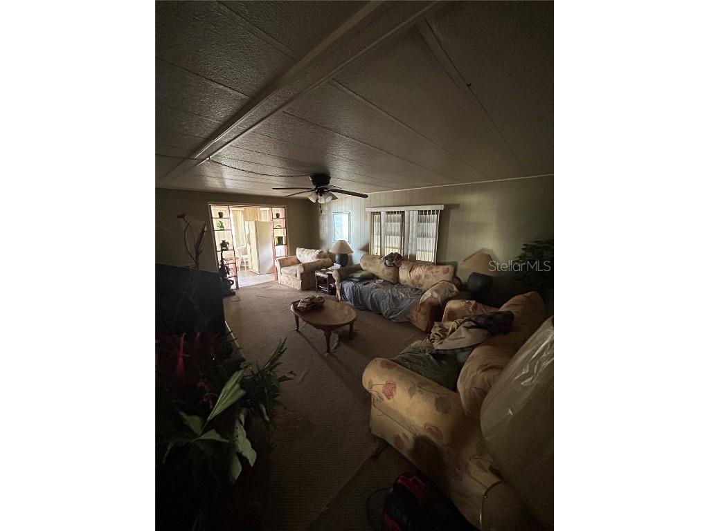 229 Dixie Lane Tarpon Springs FL 34689 TB8425388 image18