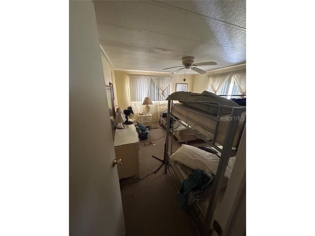 229 Dixie Lane Tarpon Springs FL 34689 TB8425388 image23