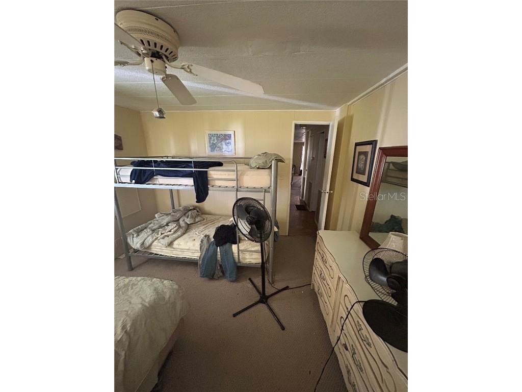 229 Dixie Lane Tarpon Springs FL 34689 TB8425388 image24