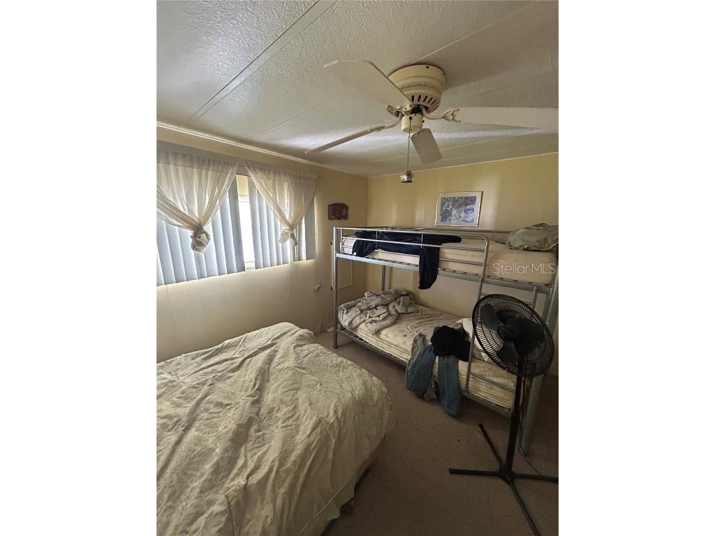 229 Dixie Lane Tarpon Springs FL 34689 TB8425388 image25