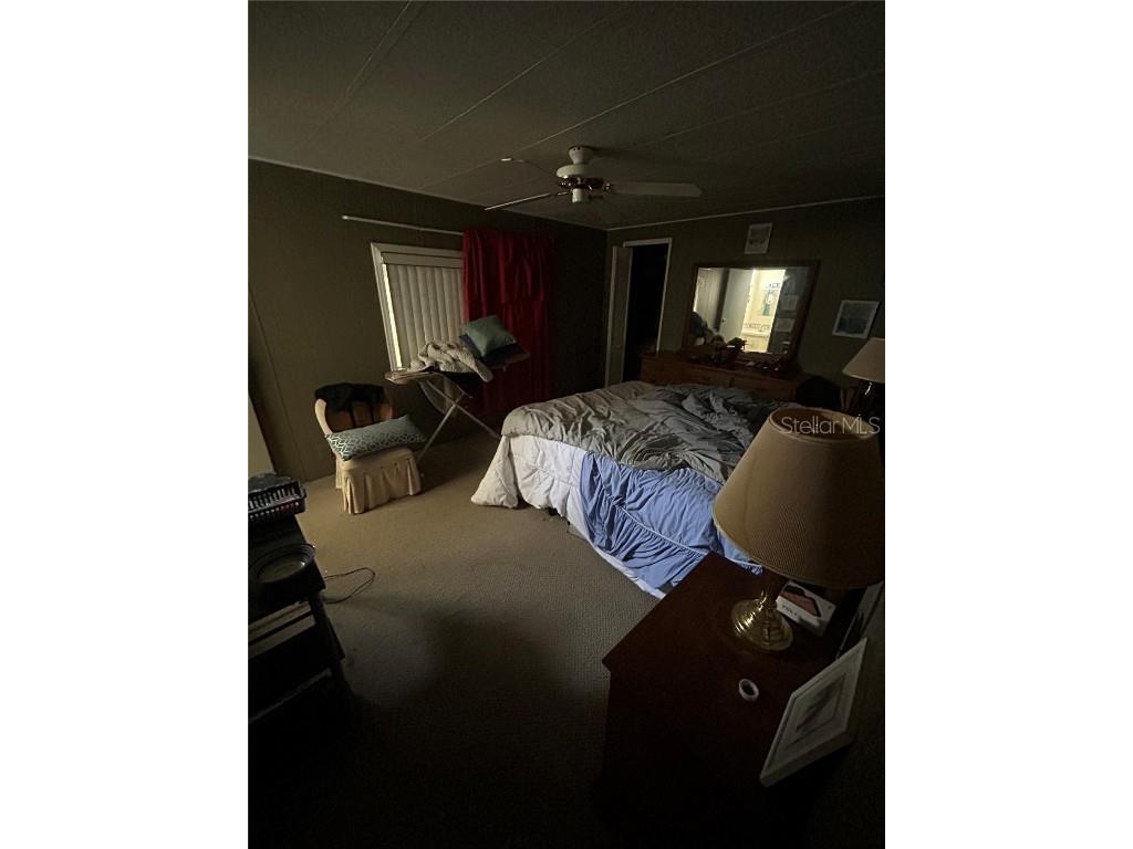 229 Dixie Lane Tarpon Springs FL 34689 TB8425388 image26