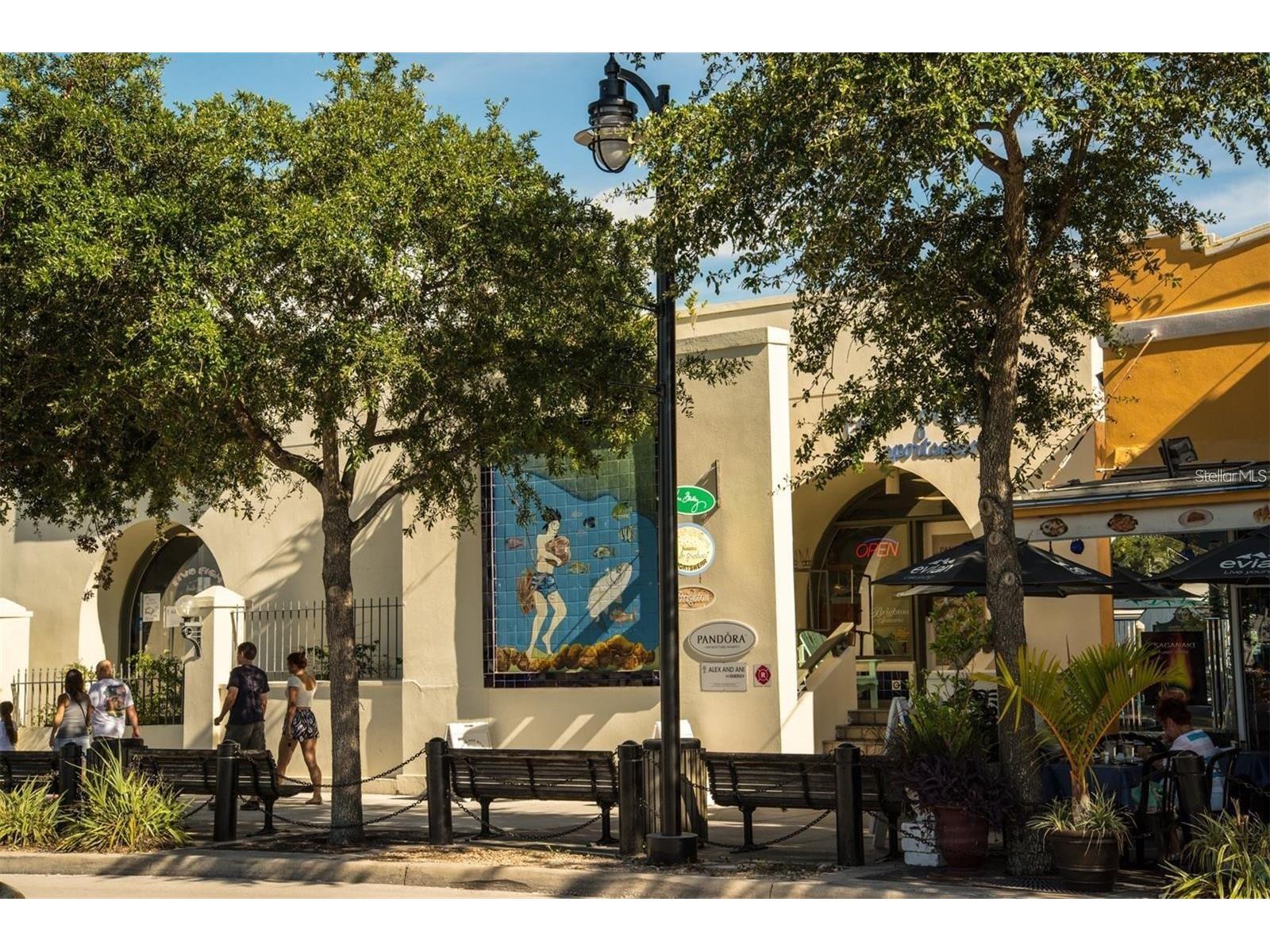 229 Dixie Tarpon Springs FL 34689 TB8494117 image66