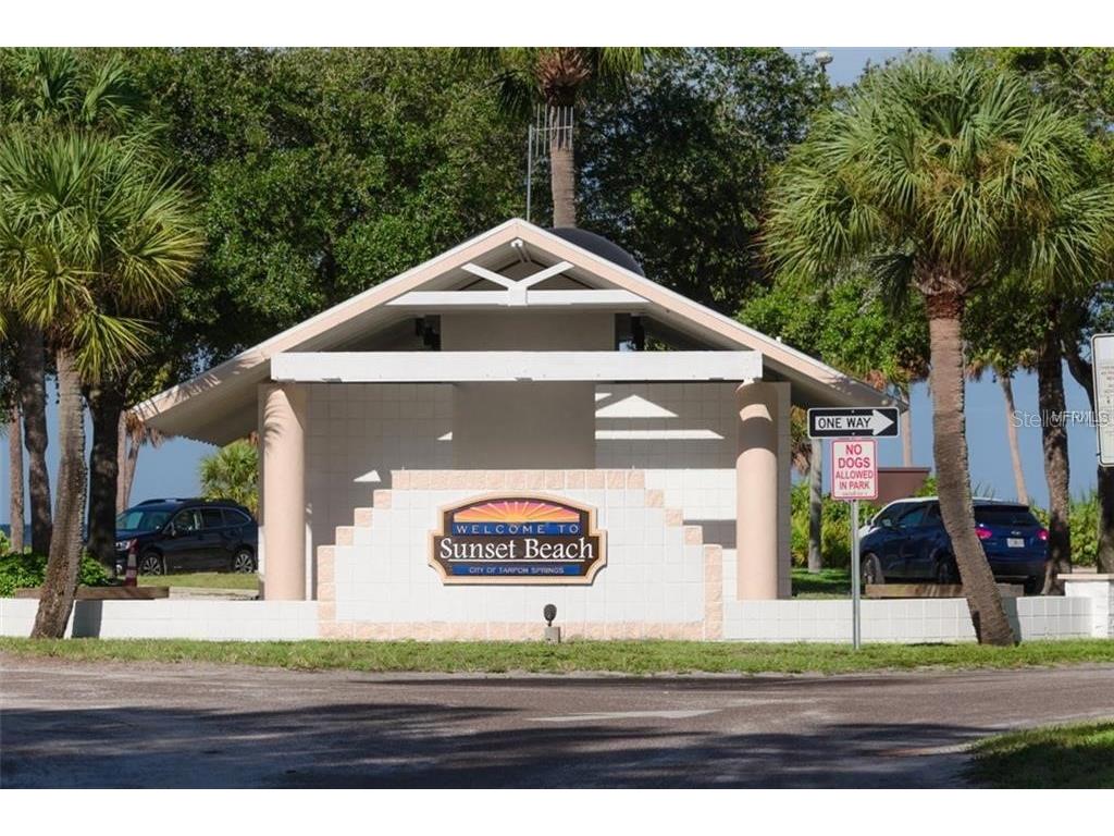 229 Dixie Tarpon Springs FL 34689 TB8494117 image67