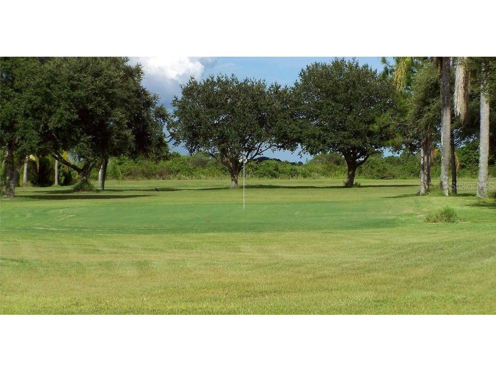 229 Dixie Tarpon Springs FL 34689 TB8494117 image68