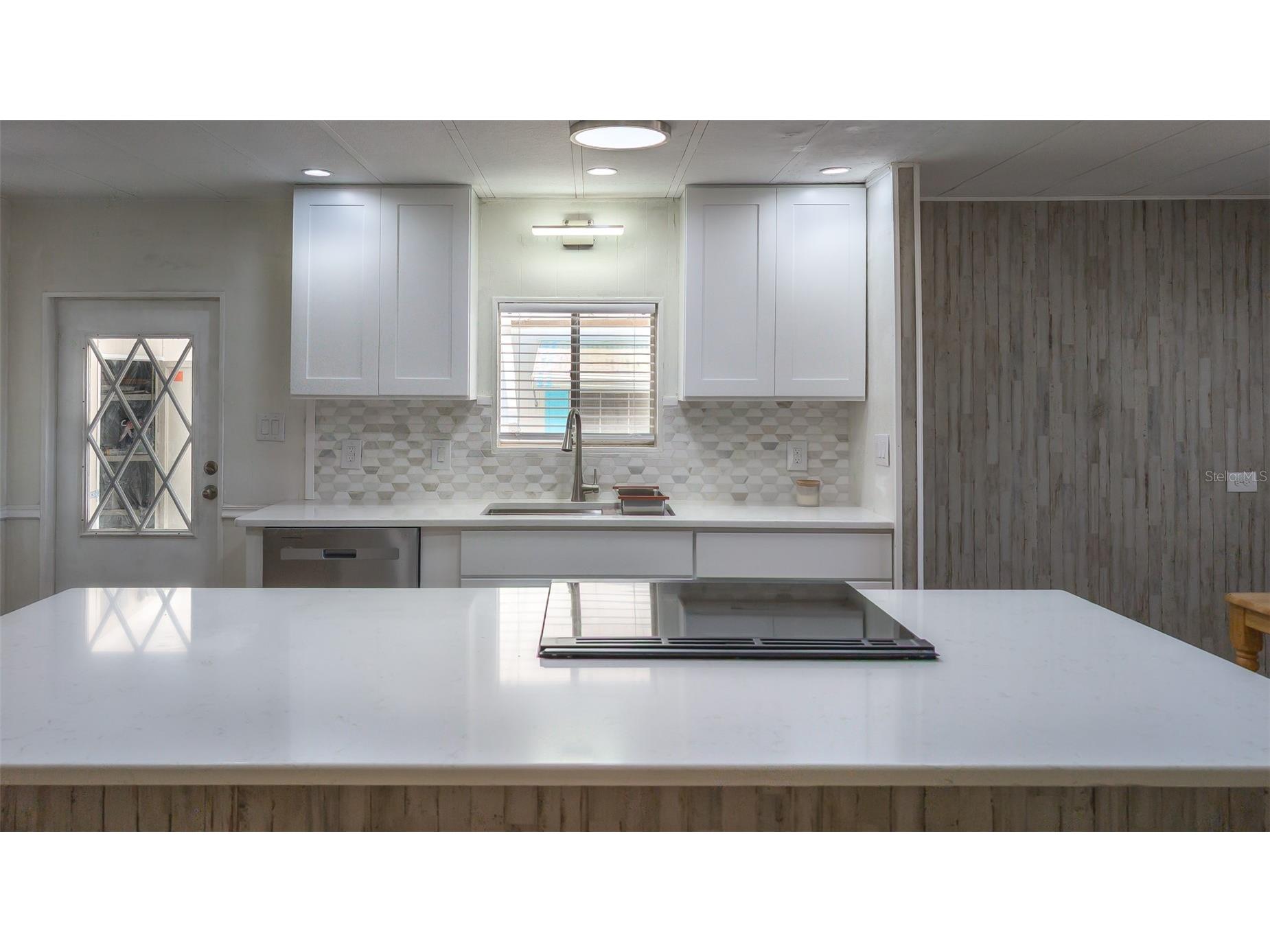 229 Dixie Tarpon Springs FL 34689 TB8494117 image7