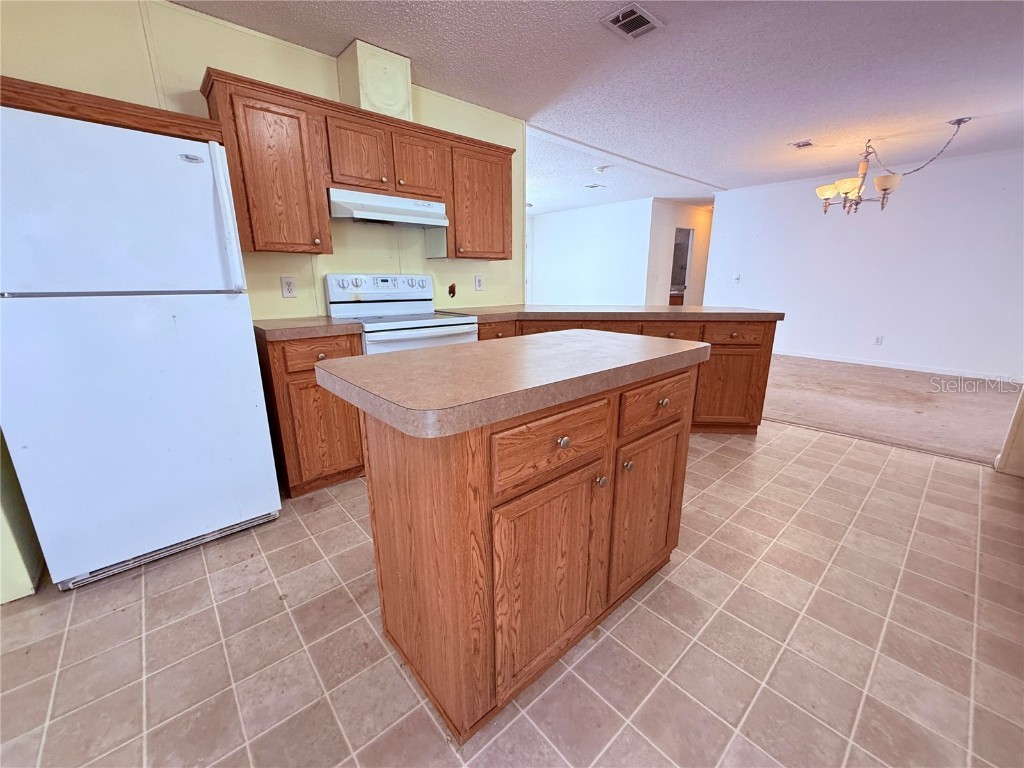 229 Dolphin Circle Middleburg FL 32068 O6291248 image10