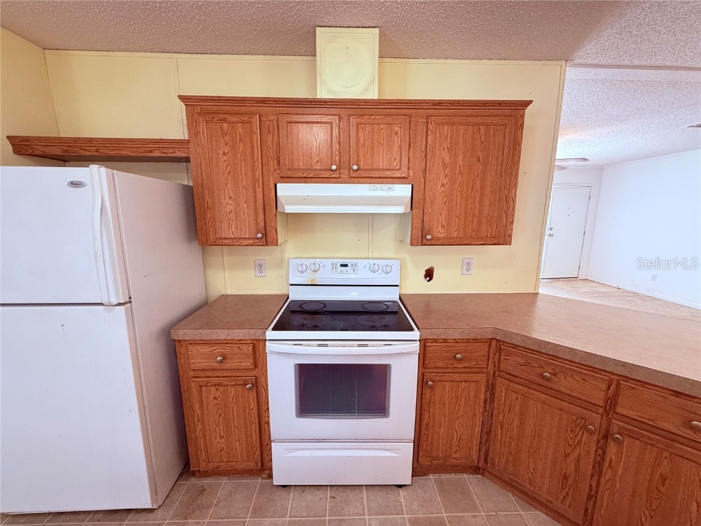 229 Dolphin Circle Middleburg FL 32068 O6291248 image11