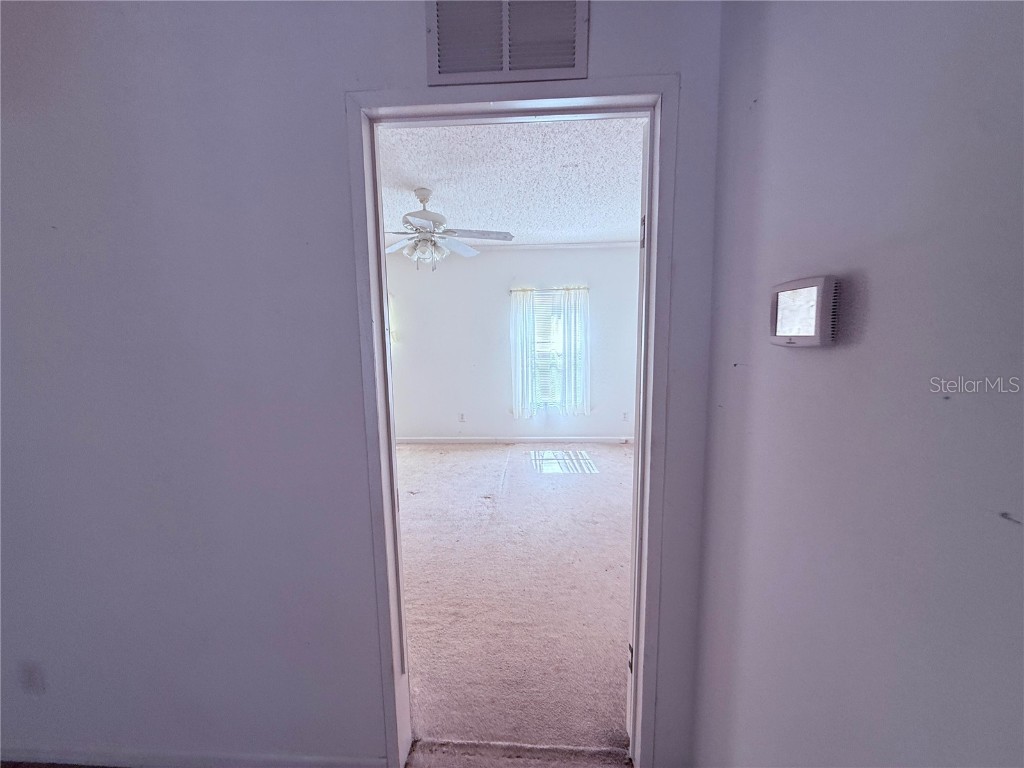 229 Dolphin Circle Middleburg FL 32068 O6291248 image14