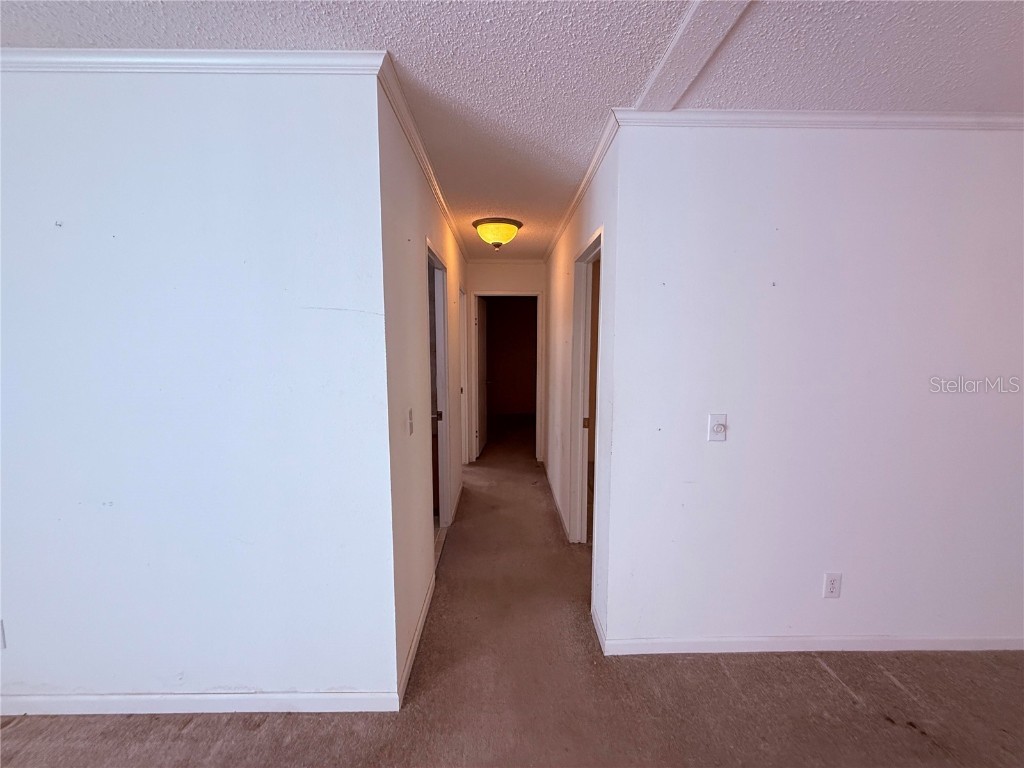 229 Dolphin Circle Middleburg FL 32068 O6291248 image33