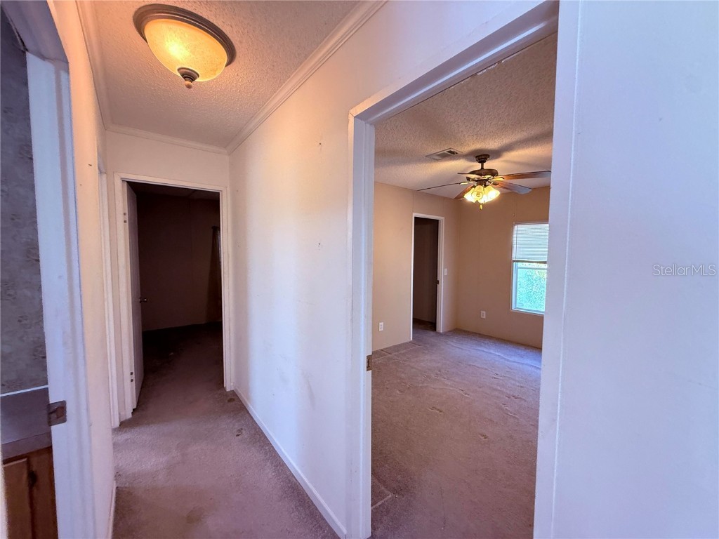 229 Dolphin Circle Middleburg FL 32068 O6291248 image34