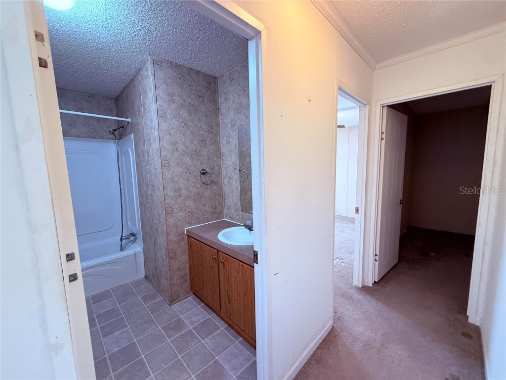 229 Dolphin Circle Middleburg FL 32068 O6291248 image36