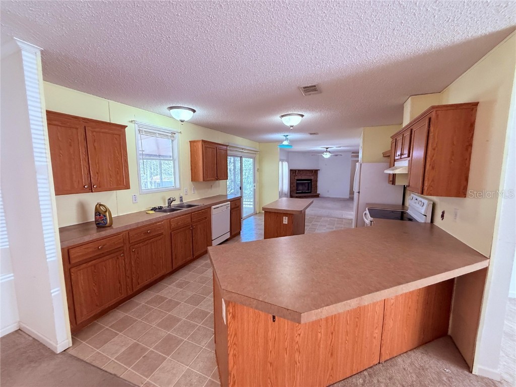 229 Dolphin Circle Middleburg FL 32068 O6291248 image37