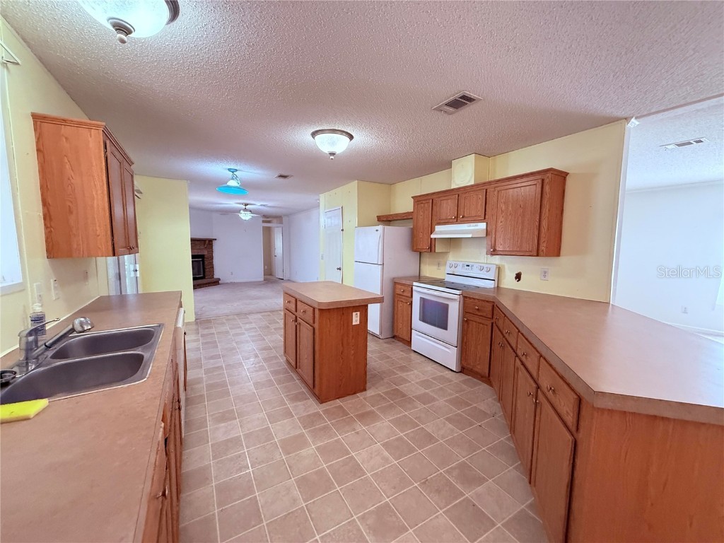 229 Dolphin Circle Middleburg FL 32068 O6291248 image39