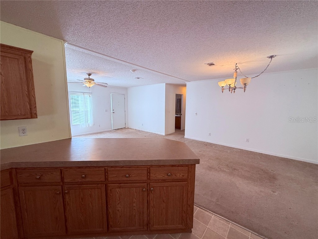 229 Dolphin Circle Middleburg FL 32068 O6291248 image40