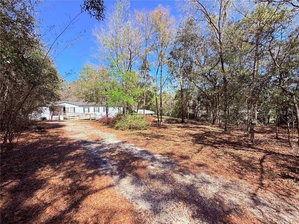 229 Dolphin Circle Middleburg FL 32068 O6291248 image47