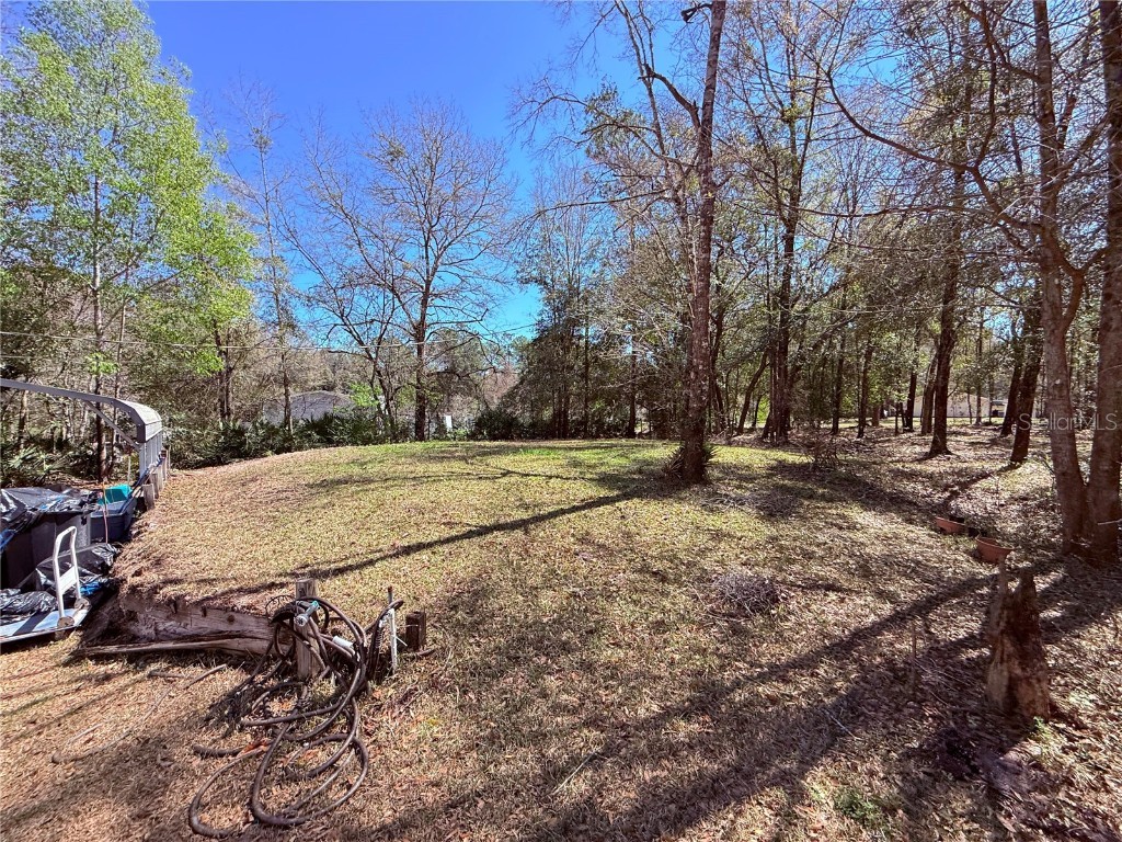 229 Dolphin Circle Middleburg FL 32068 O6291248 image55