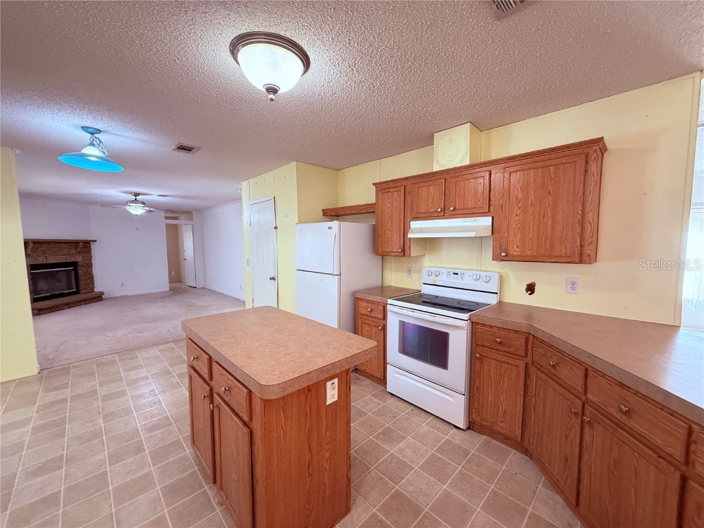 229 Dolphin Circle Middleburg FL 32068 O6291248 image7