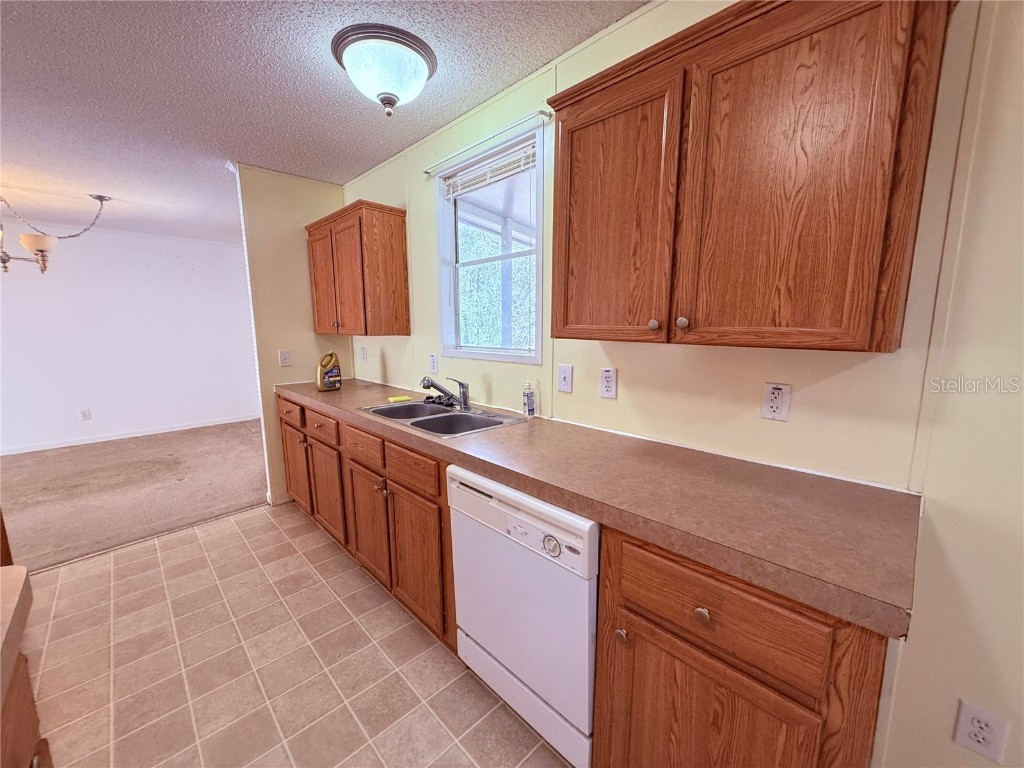 229 Dolphin Circle Middleburg FL 32068 O6291248 image9