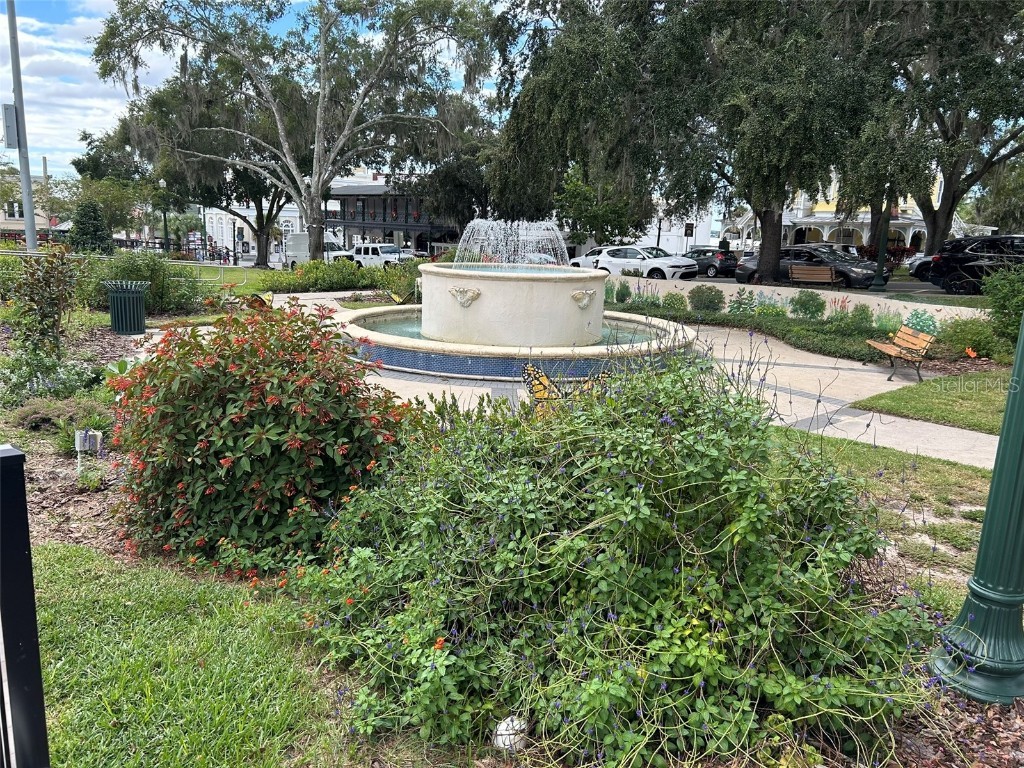 229 E 6th Avenue Mount Dora FL 32757 NS1086324 image43