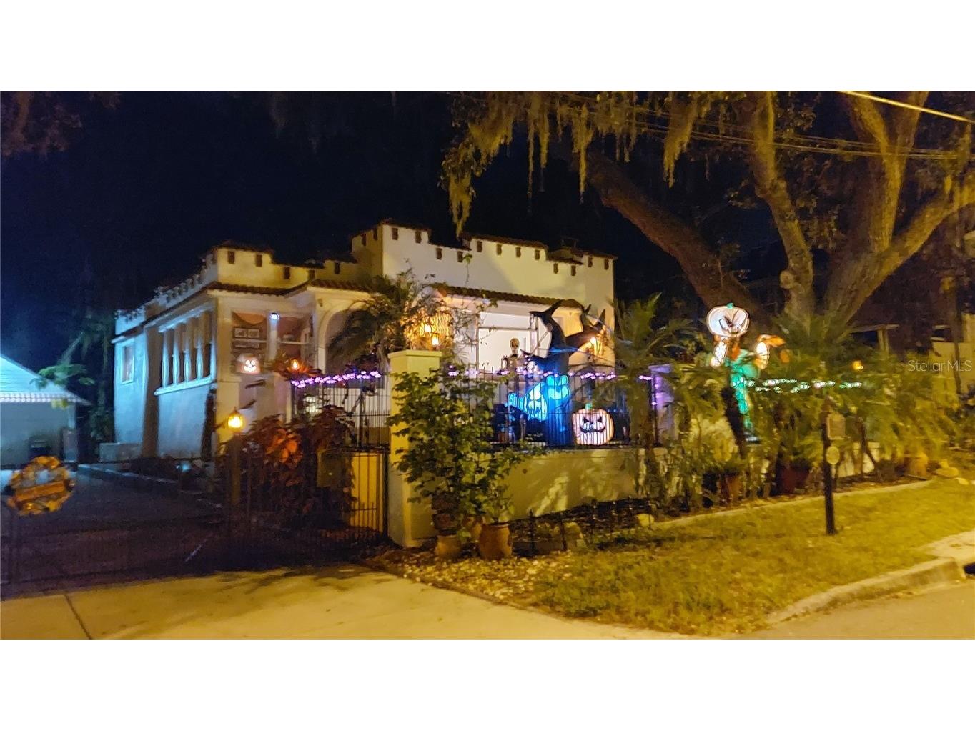 229 E 6th Avenue Mount Dora FL 32757 NS1086324 image44