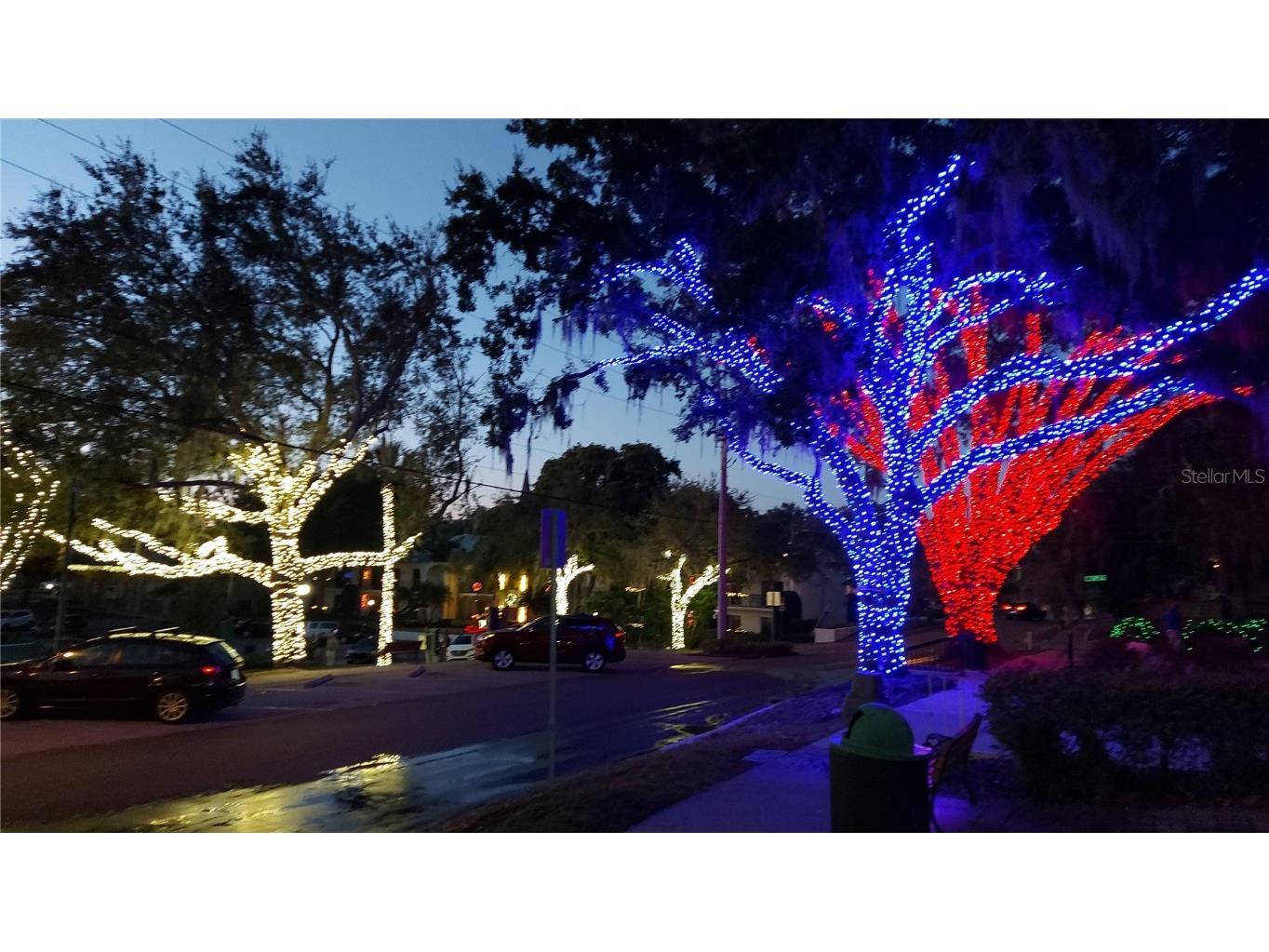 229 E 6th Avenue Mount Dora FL 32757 NS1086324 image45