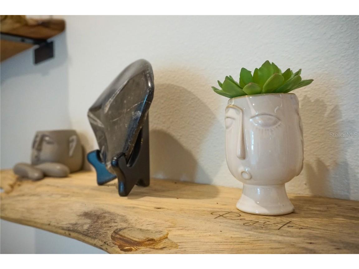 229 E 6th Avenue Mount Dora FL 32757 NS1086324 image61