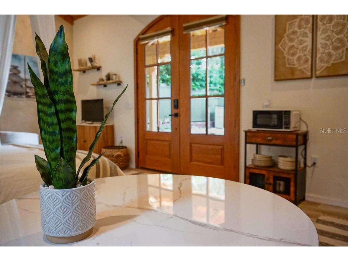 229 E 6th Avenue Mount Dora FL 32757 NS1086324 image63