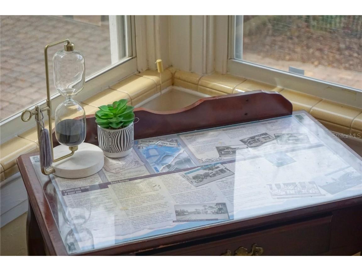 229 E 6th Avenue Mount Dora FL 32757 NS1086324 image7