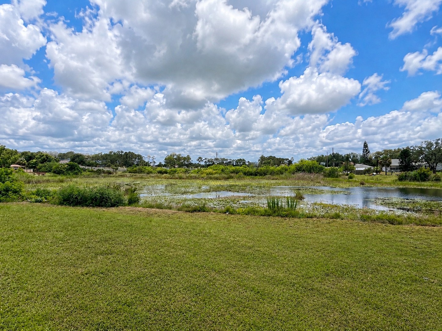 229 Galaxy Avenue Spring Hill FL 34606 TB8477163 image16