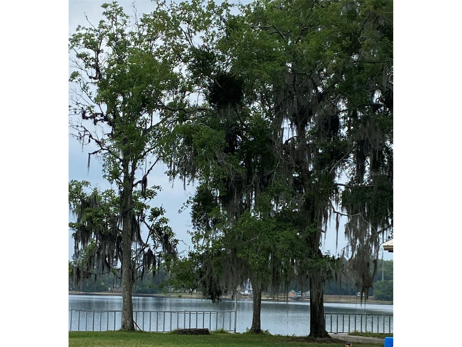 229 Lake Ida Point Drive Interlachen FL 32148 - LAKE IDA GC539602 image12
