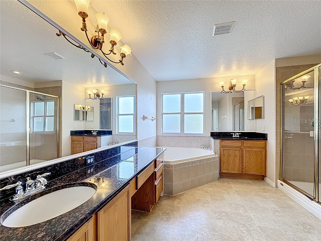 229 Largovista Drive Oakland FL 34787 O6326149 image46