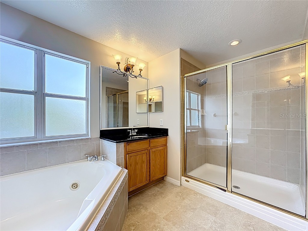 229 Largovista Drive Oakland FL 34787 O6326149 image47