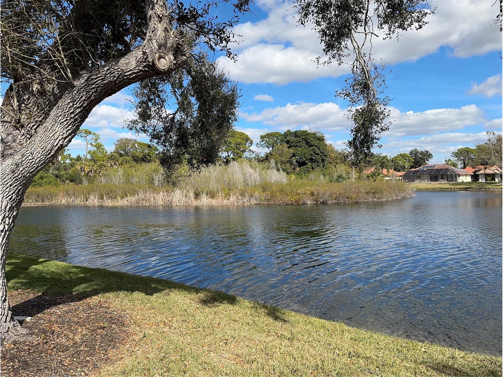 229 Laurel Hollow Drive #83 Nokomis FL 34275 A4678836 image40