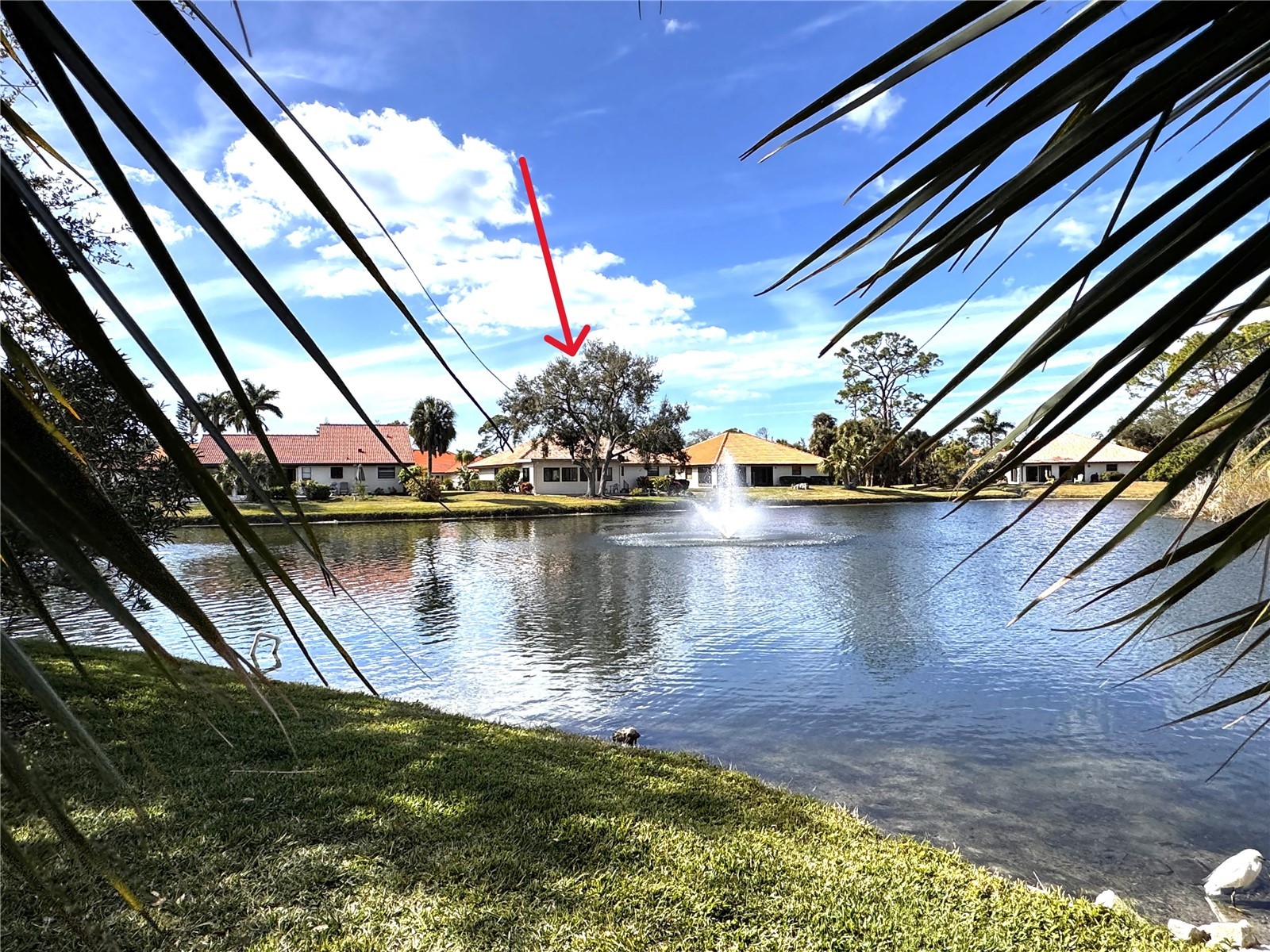 229 Laurel Hollow Drive #83 Nokomis FL 34275 A4678836 image57