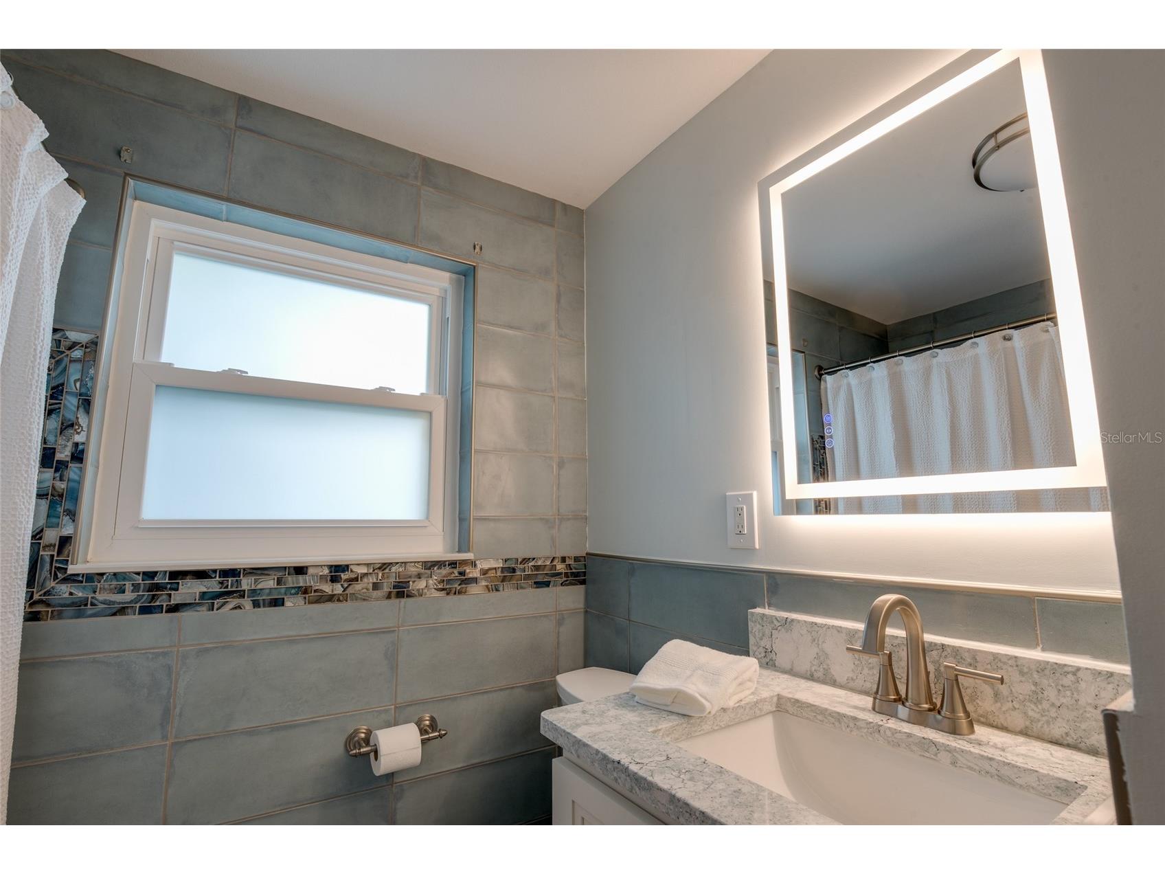 229 Lime Circle S Dunedin FL 34698 TB8448598 image24