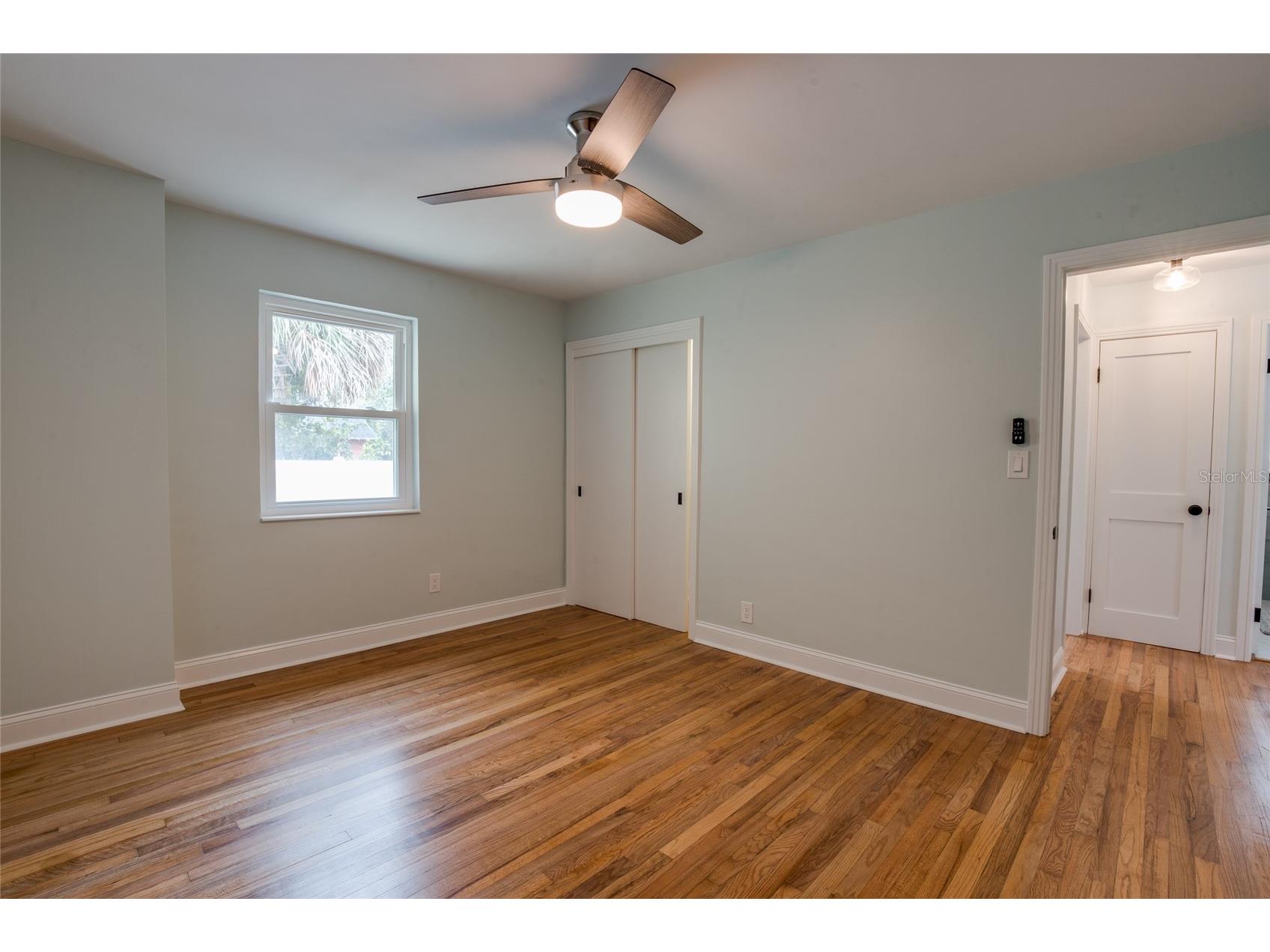 229 Lime Circle S Dunedin FL 34698 TB8448598 image29