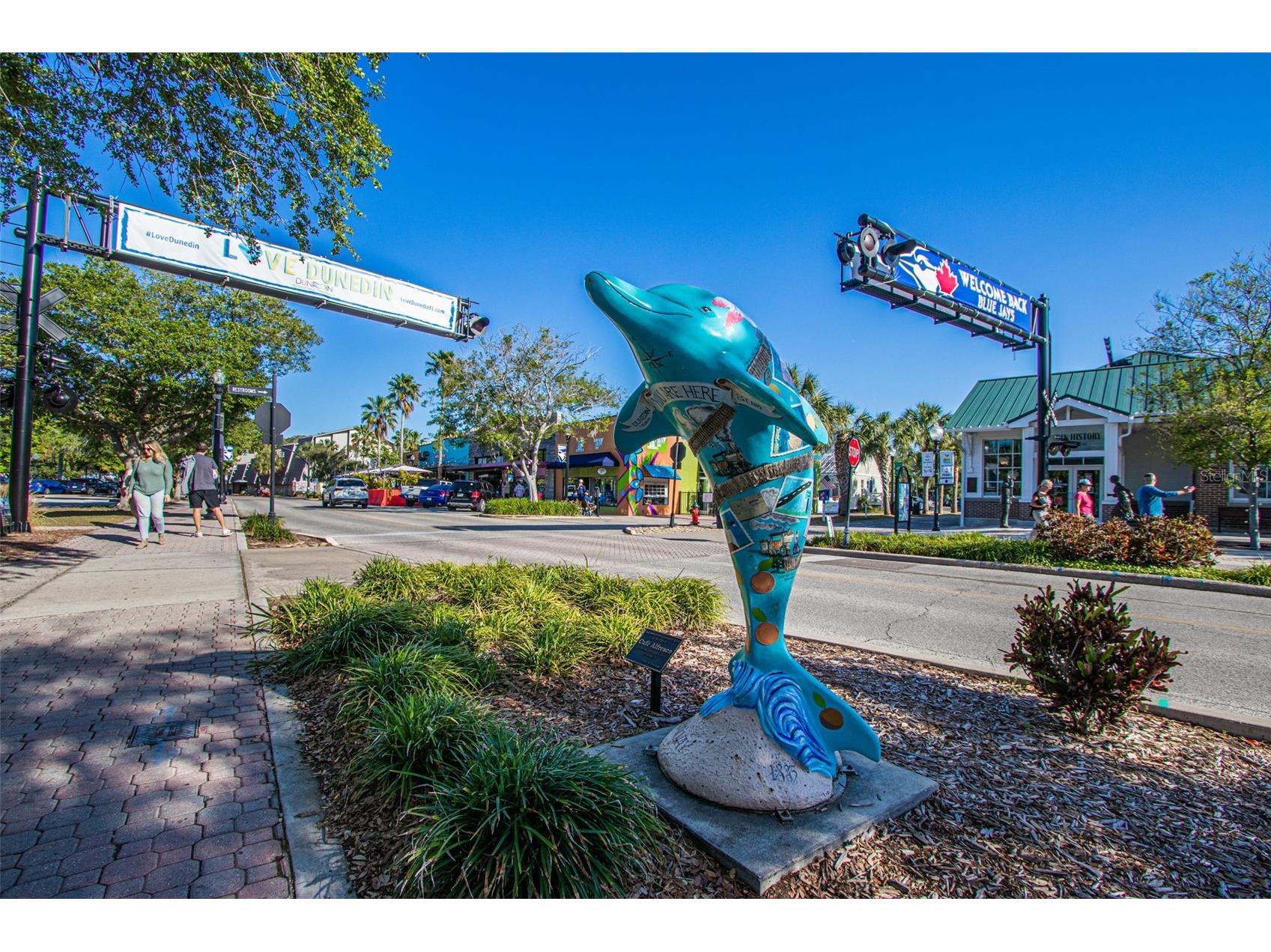 229 Lime Circle S Dunedin FL 34698 TB8448598 image49