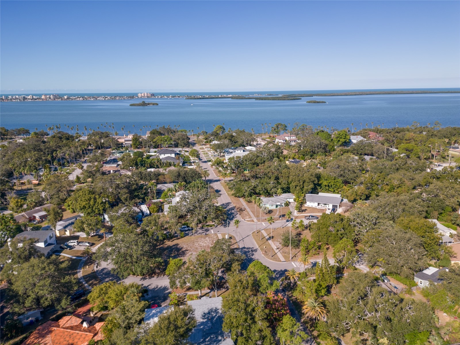 229 Lime Circle S Dunedin FL 34698 TB8448598 image5