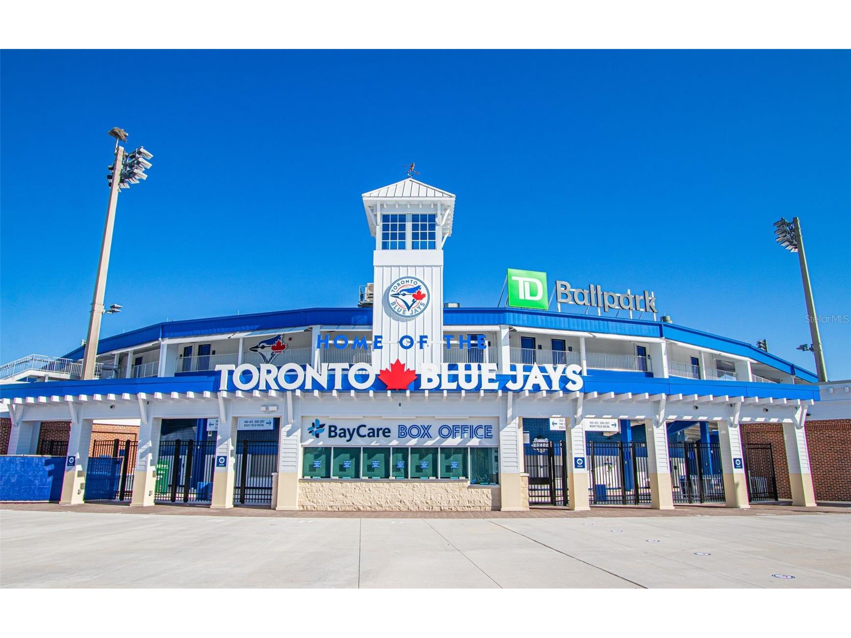 229 Lime Circle S Dunedin FL 34698 TB8448598 image51