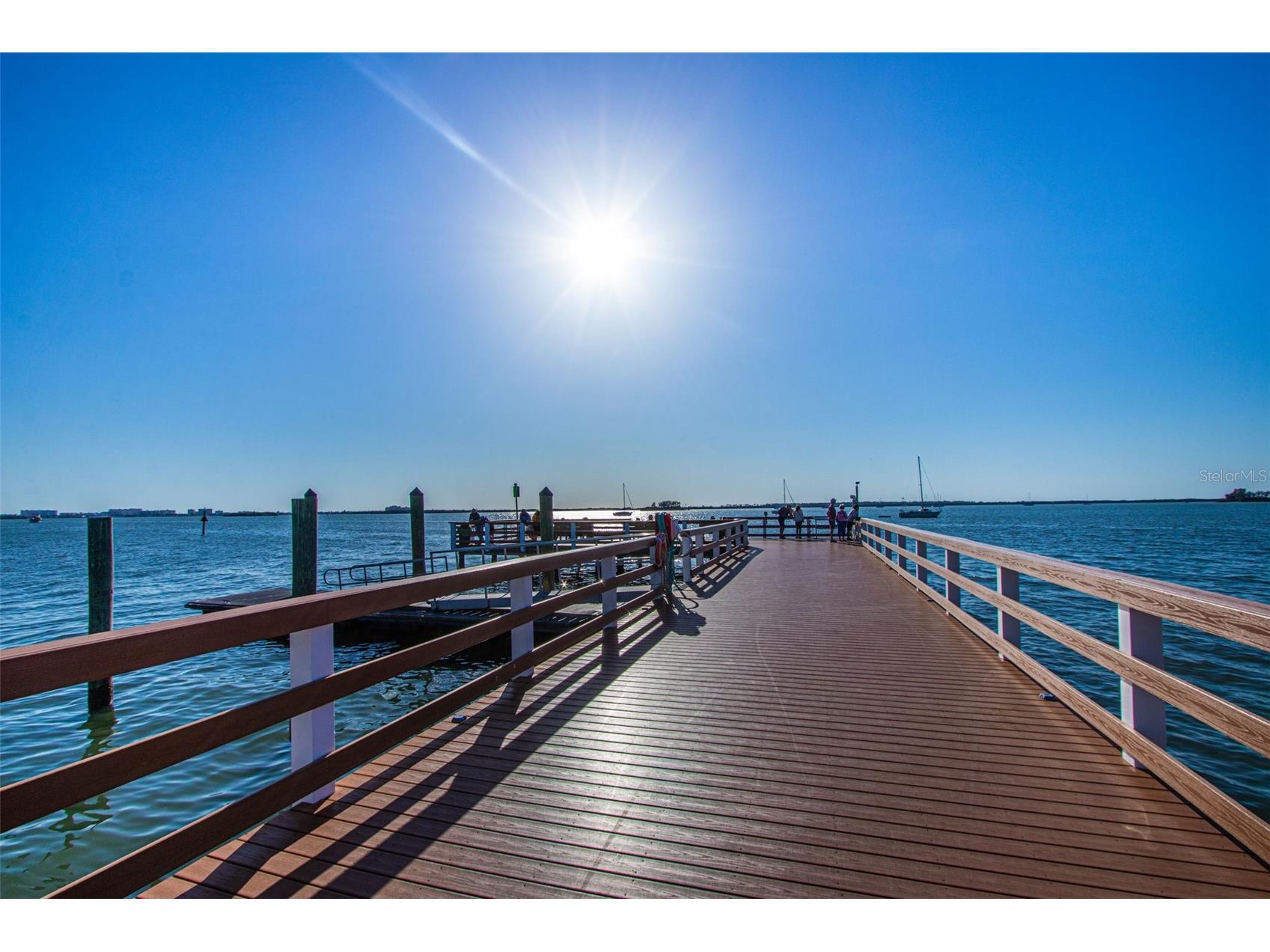 229 Lime Circle S Dunedin FL 34698 TB8448598 image52