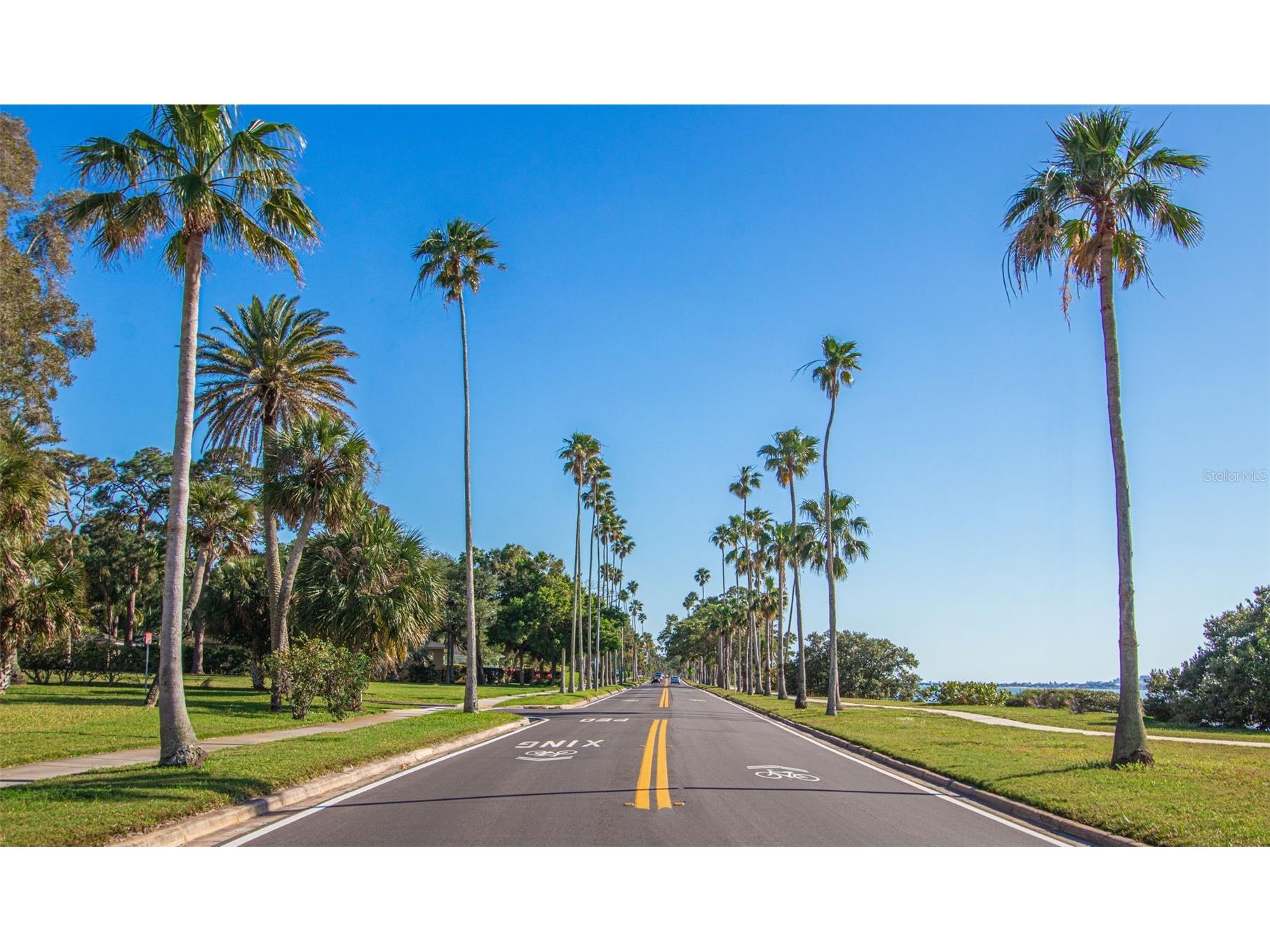 229 Lime Circle S Dunedin FL 34698 TB8448598 image7