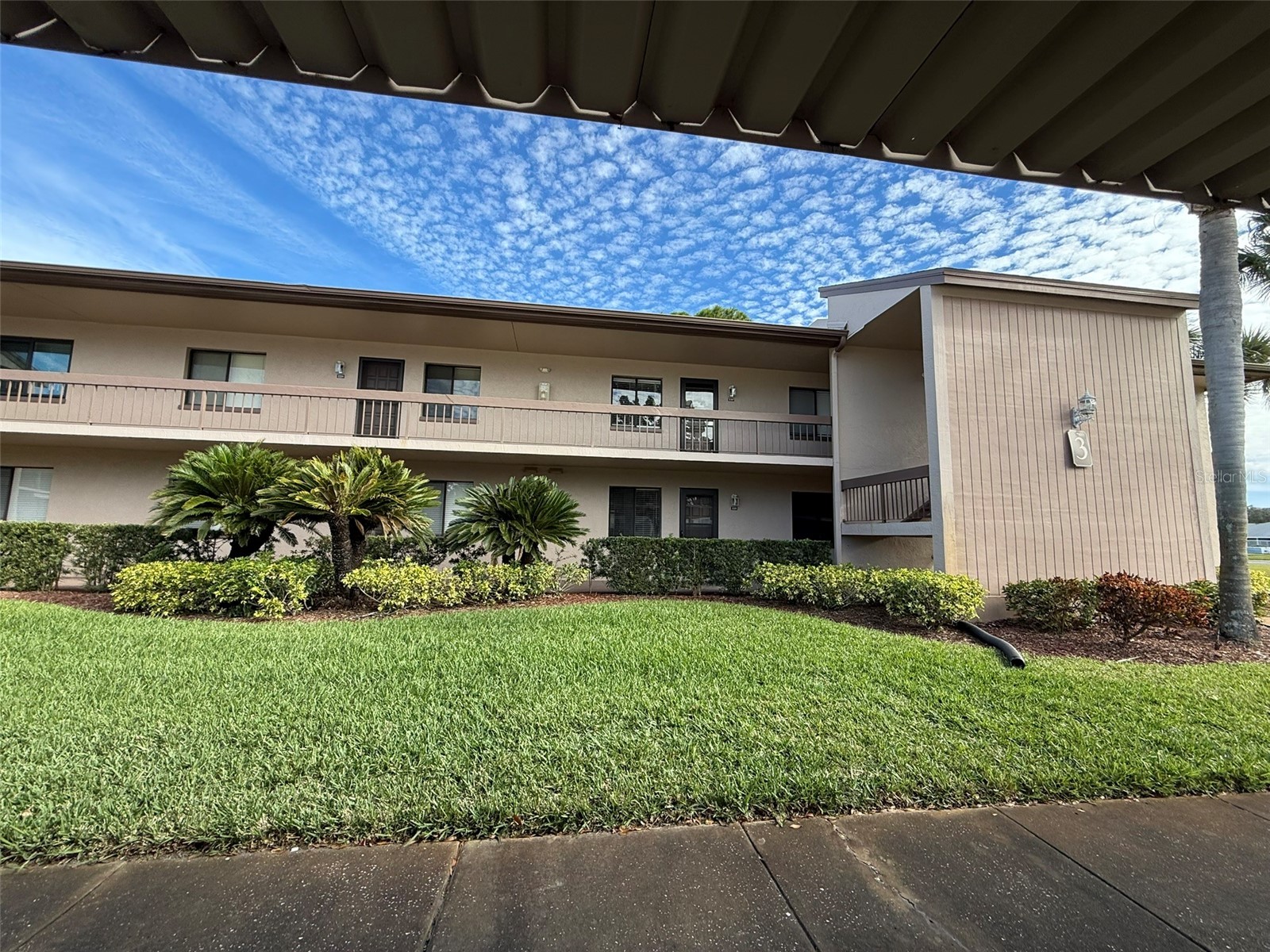 229 Mary Drive #45 Oldsmar FL 34677 TB8460483 image1