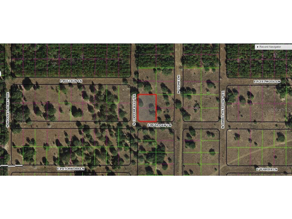 229 N Copperfield Terrace Inverness FL 34453 O6226660 image1