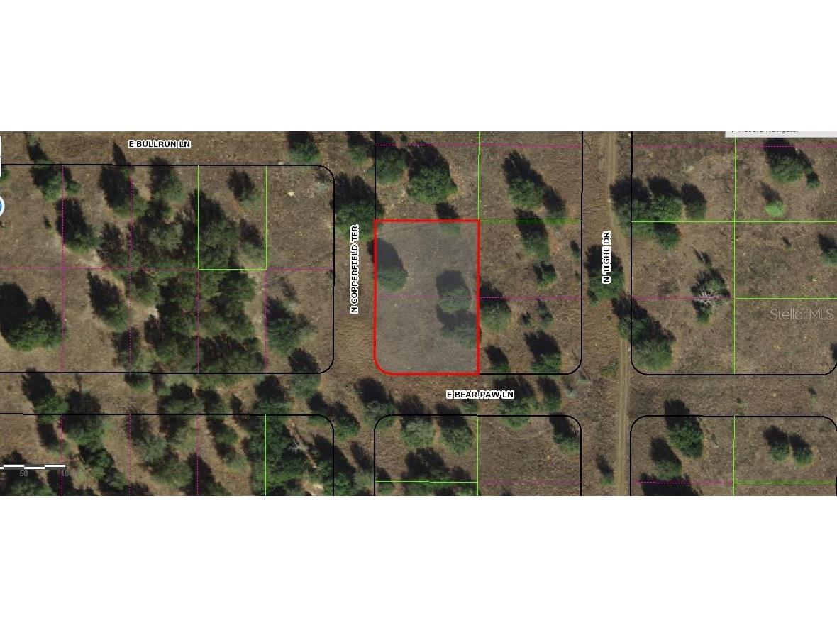229 N Copperfield Terrace Inverness FL 34453 O6226660 image2