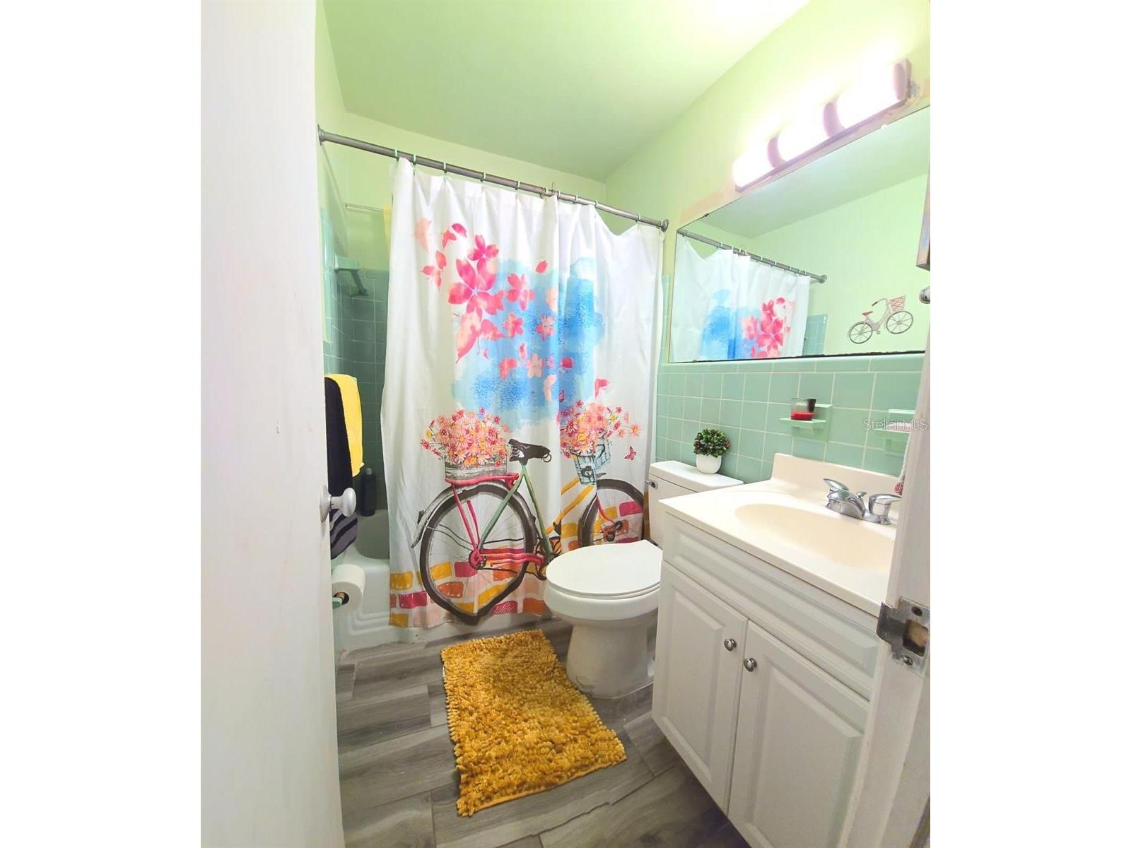 229 Raymond Avenue Frostproof FL 33843 S5151268 image11