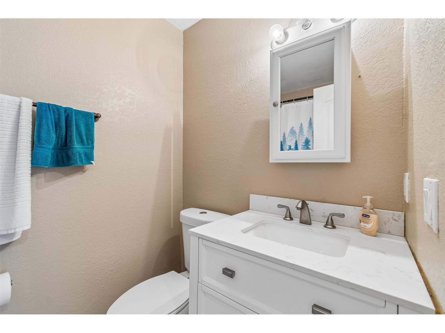 229 Red Maple Place Brandon FL 33510 TB8493428 image16
